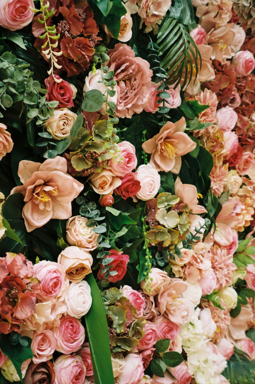 Film-like photo of flowers in warm light